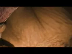 مدل نیکی رویای که رویای سکس عمومی را در سر می پرورانید ، یک عکس سکسی پسر ها عکاس را لگد می زند
